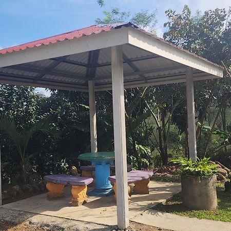 Cabinas El Pilon Rio Celeste Exteriér fotografie
