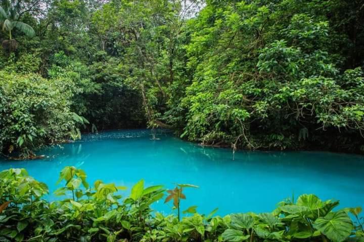 Cabinas El Pilon Rio Celeste Exteriér fotografie