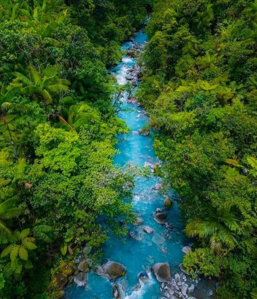 Cabinas El Pilon Rio Celeste Exteriér fotografie