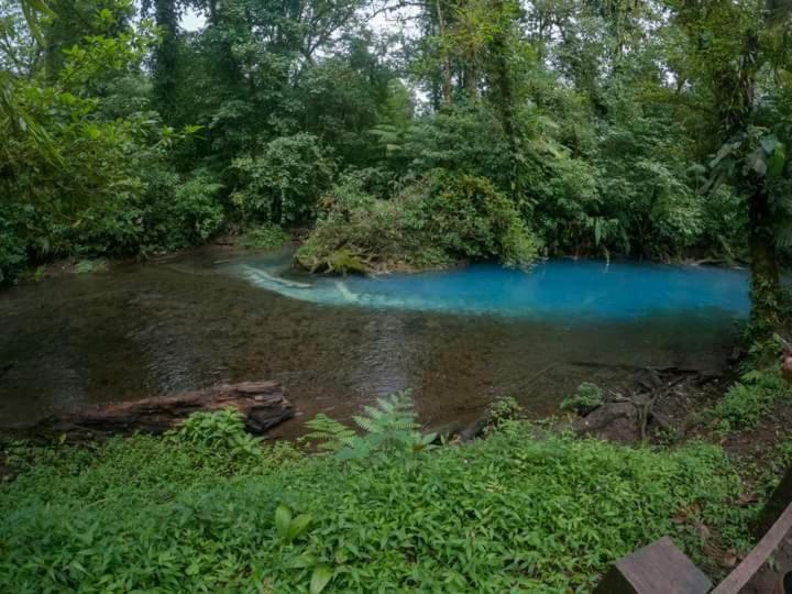 Cabinas El Pilon Rio Celeste Exteriér fotografie